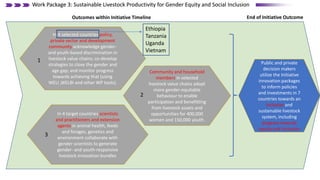 Work Package 3: Sustainable Livestock Productivity for Gender Equity and Social Inclusion
