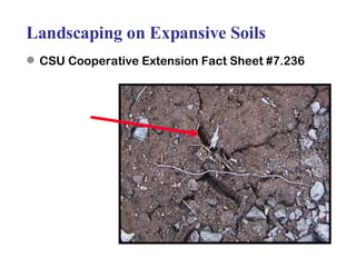 Landscaping on Expansive Soils CSU Cooperative Extension Fact Sheet #7.236 