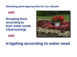 Selecting plant appropriate for our climate AND Grouping them  according to  their water needs  ( Hydrozoning ) AND Irrigating according to water need 