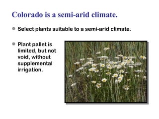 Colorado is a semi-arid climate. Select plants suitable to a semi-arid climate. Plant pallet is  limited, but not  void, without  supplemental  irrigation. 