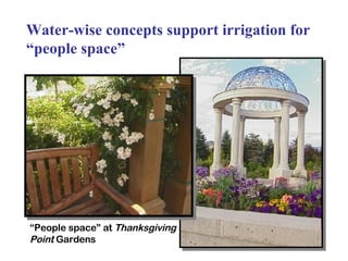 Water-wise concepts support irrigation for “people space” “ People space” at  Thanksgiving Point  Gardens 