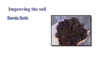 Improving the soil Sandy Soils 