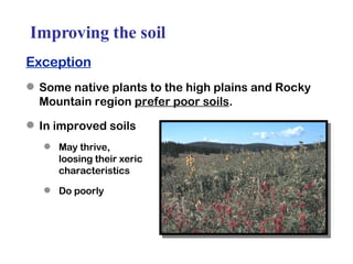 Improving the soil Exception Some native plants to the high plains and Rocky Mountain region  prefer poor soils . In improved soils May thrive,  loosing their xeric  characteristics Do poorly 