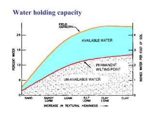 Water holding capacity 