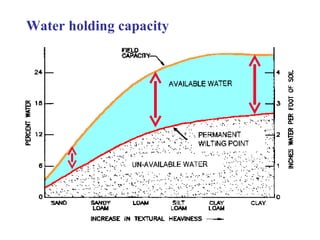 Water holding capacity 