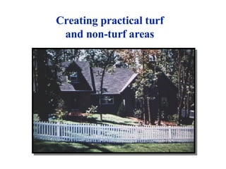 Creating practical turf  and non-turf areas   
