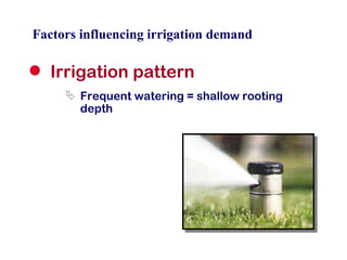 Factors influencing irrigation demand Irrigation pattern Frequent watering = shallow rooting depth 