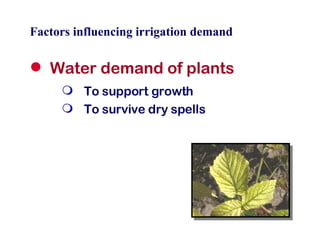 Factors influencing irrigation demand Water demand of plants To support growth To survive dry spells 