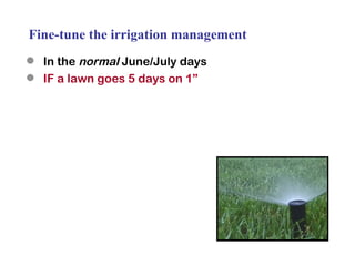 Fine-tune the irrigation management In the  normal  June/July days IF a lawn goes 5 days on 1” 