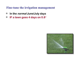 Fine-tune the irrigation management In the  normal  June/July days IF a lawn goes 4 days on 0.8 ” 