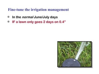 Fine-tune the irrigation management In the  normal  June/July days IF a lawn only goes 2 days on 0.4” 