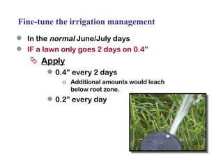 Fine-tune the irrigation management In the  normal  June/July days IF a lawn only goes 2 days on 0.4” Apply   0.4” every 2 days Additional amounts would leach below root zone. 0.2” every day 