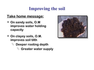 Improving the soil Take home message: On sandy soils, O.M improves water holding capacity On clayey soils, O.M. improves soil tilth Deeper rooting depth Greater water supply 
