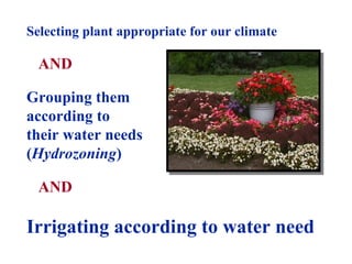 Selecting plant appropriate for our climate AND Grouping them  according to  their water needs  ( Hydrozoning ) AND Irrigating according to water need 