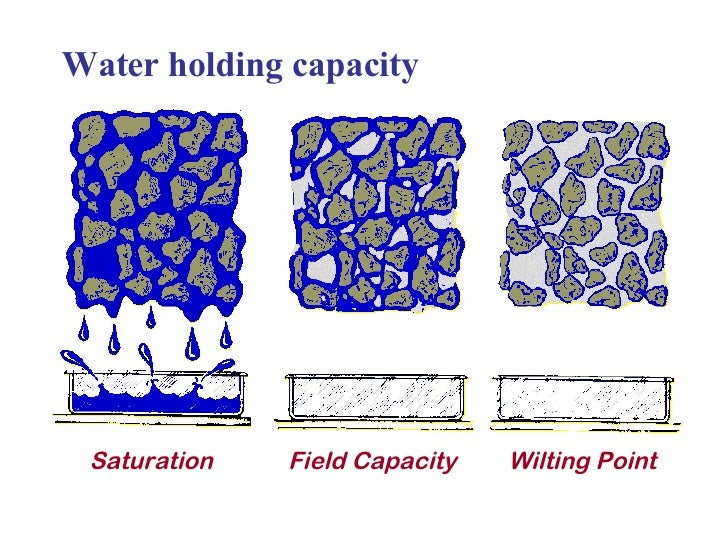 2 Wwg2 Soil Hydrozone Irrigation