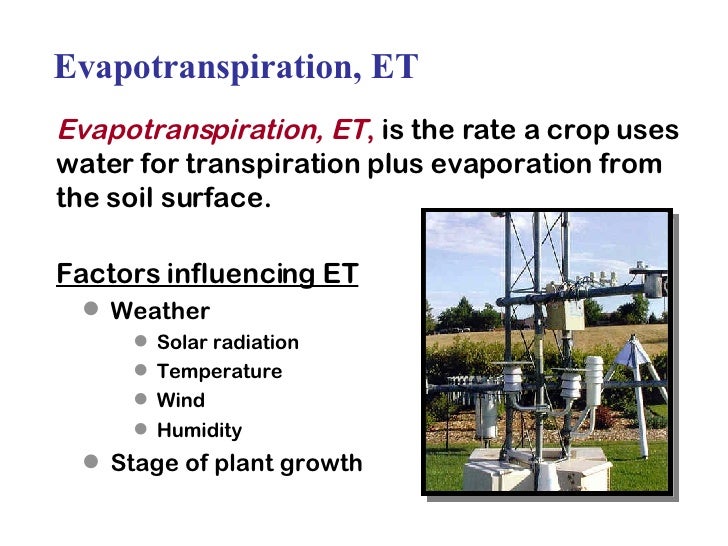 2 Wwg2 Soil Hydrozone Irrigation