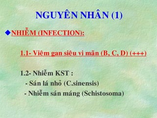 NGUYEÂN NHAÂN (1)
NHIEÃM (INFECTION):
1.1- Vieâm gan sieâu vi maõn (B, C, D) (+++)
1.2- Nhieãm KST :
- Saùn laù nhoû (C.sinensis)
- Nhieãm saùn maùng (Schistosoma)
 