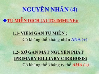 NGUYEÂN NHAÂN (4)
TÖÏ MIEÃN DÒCH (AUTO-IMMUNE):
1.1- VIEÂM GAN TÖÏ MIEÃN :
Coù khaùng theå khaùng nhaân ANA (+)
1.2- XÔ GAN MAÄT NGUYEÂN PHAÙT
(PRIMARY BILLIARY CIRRHOSIS)
Coù khaùng theå khaùng ty theå AMA (+)
 