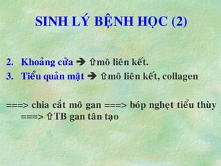 SINH LYÙ BEÄNH HOÏC (2)
2. Khoaûng cöûa  moâ lieân keát.
3. Tieåu quaûn maät  moâ lieân keát, collagen
===> chia caét moâ gan ===> boùp ngheït tieåu thuøy
===> TB gan taân taïo
 