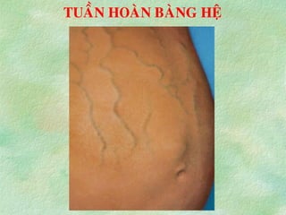 TUAÀN HOAØN BAØNG HEÄ
 