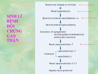 SINH LÝ
BỆNH
HOÄI
CHÖÙNG
GAN
THAÄN
 