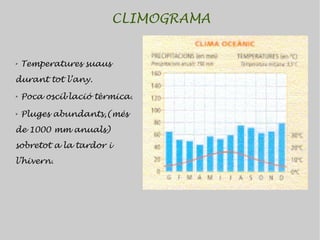 CLIMOGRAMA


➢   Temperatures suaus
durant tot l’any.
➢   Poca oscil·lació tèrmica.
➢   Pluges abundants,(més
de 1000 mm anuals)
sobretot a la tardor i
l’hivern.
 