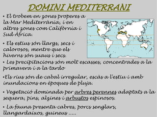 DOMINI MEDITERRANI
●El trobem en zones properes a
la Mar Mediterrània, i en
altres zones com Califòrnia i
Sud Àfrica.
● Els estius són llargs, secs i
calorosos, mentre que els
hiverns són suaus i secs.
● Les precipitacions són molt escasses, concentrades a la


primavera i a la tardo
●Els rius són de cabal irregular, escàs a l'estiu i amb
inundacions en èpoques de pluja.
●Vegetació dominada per arbres perennes adaptats a la
sequera, pins, alzines i arbustos espinosos.
● La fauna presenta cabres, porcs senglars,
llangardaixos, guineus .....
 