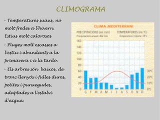 CLIMOGRAMA
➢   Temperatures suaus, no
molt fredes a l'hivern.
Estius molt calorosos
➢   Pluges molt escasses a
l'estiu i abundants a la
primavera i a la tardo.
➢   Els arbres són baixos, de
tronc llenyós i fulles dures,
petites i punxegudes,
adaptades a l'estalvi
d'aigua.
 