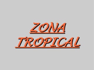 ZONA
TROPICAL
 