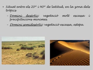 ●   Situat entre els 20º i 40º de latitud, en la zona dels
    tròpics
    –   Domini desèrtic: vegetació       molt   escassa   i
        precipitacions mínimes.
    –   Domini semidesèrtic: vegetació escassa, estepa.
 