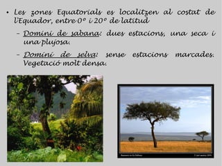 ●   Les zones Equatorials es localitzen al costat de
    l'Equador, entre 0º i 20º de latitud
    –   Domini de sabana: dues estacions, una seca i
        una plujosa.
    –   Domini de selva: sense   estacions   marcades.
        Vegetació molt densa.
 