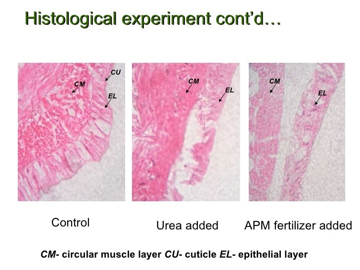 Effects of urea and adult palm fertilizer mixture on the survival and…