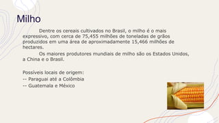 Cultura do milho | PPTX