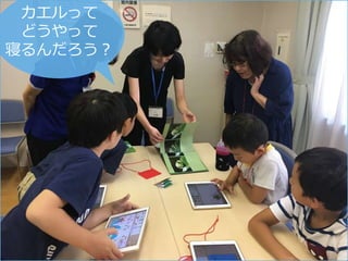 14
カエルって
どうやって
寝るんだろう？
 