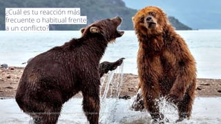¿Cuál es tu reacción más
frecuente o habitual frente
a un conﬂicto?
https://www.nationalgeographicla.com/photography/2018/12/epicas-fotograﬁas-de-animales-en-conﬂicto?image=03-animal-ﬁght-gallery
 