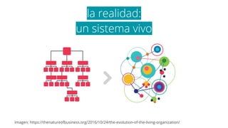 Imagen: https://thenatureofbusiness.org/2016/10/24/the-evolution-of-the-living-organization/
la realidad:
un sistema vivo
 