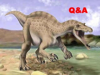 Q&A 