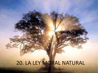 20. LA LEY MORAL NATURAL

 