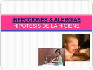 INFECCIONES & ALERGIAS
HIPOTESIS DE LA HIGIENE

 