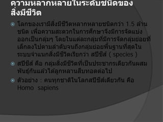 ความหลากหลายในระด ับชนิดของ
ิ่
ี ิ
สงมีชวต
ิ่
ี ิ
โลกของเรามีสงมีชวตหลากหลายชนิดกว่า 1.5 ล ้าน
ึ
ชนิด เพือความสะดวกในการศกษาจึงมีการจัดแบ่ง
่
ออกเป็ นกลุมๆ โดยในแต่ละกลุมทีมการจัดกลุมย่อยที่
่
่ ่ ี
่
เล็กลงไปตามลําดับจนถึงกลุมย่อยพืนฐานทีสดใน
่
้
่ ุ
ิ่
ี ิ
ี
ระบบจําแนกสงมีชวตเรียกว่า สปี ชส ์ ( species )
ี
ี ิ ่
 สปี ชส ์ คือ กลุมสงมีชวตทีเป็ นประชากรเดียวกันผสม
่ ิ่
ื
พันธุกนแล ้วได ้ลูกหลานสบทอดต่อไป
์ ั
ี ์
 ตัวอย่าง : คนทุกชาติในโลกสปี ชสเดียวกัน คือ
Homo sapiens


 