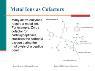 enzyme cofactors_and_vitamins | PPT