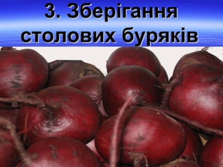 33.. ЗЗббееррііггаанннняя 
ссттооллооввиихх ббуурряяккіівв 
 