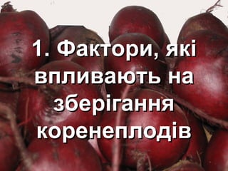 11.. ФФааккттооррии,, яяккіі 
ввппллииввааююттьь ннаа 
ззббееррііггаанннняя 
ккооррееннееппллооддіівв 
 