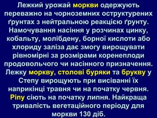 ЛЛеежжккиийй уурроожжаайй ммооррккввии ооддеерржжууююттьь 
ппеерреевваажжнноо ннаа ччооррннооззееммнниихх ооссттррууккттуурреенниихх 
ґґррууннттаахх зз ннееййттррааллььннооюю ррееааккцціієєюю ґґррууннттуу.. 
ННааммооччуувваанннняя ннаассіінннняя уу ррооззччииннаахх ццииннккуу,, 
ккооббааллььттуу,, ммооллііббддееннуу,, ббооррннооїї ккииссллооттии ааббоо 
ххллооррииддуу ззааллііззаа ддааєє ззммооггуу ввиирроощщууввааттии 
ррііввннооммііррнніі ззаа ррооззммііррааммии ккооррееннееппллооддии 
ппррооддооввооллььччооггоо ччии ннаассііннннооггоо ппррииззннааччеенннняя.. 
ЛЛеежжккуу ммооррккввуу,, ссттооллооввіі ббуурряяккии ттаа ббррууккввуу уу 
ССттееппуу ввиирроощщууююттьь ппррии ввииссіівваанннніі їїхх 
ннааппррииккііннцціі ттррааввнняя ччии ннаа ппооччааттккуу ччееррввнняя.. 
РРііппуу ссііююттьь ннаа ппооччааттккуу ллииппнняя.. ННааййккрраащщаа 
ттррииввааллііссттьь ввееггееттааццііййннооггоо ппееррііооддуу ддлляя 
ммооррккввии 113300 ддіібб.. 
 
