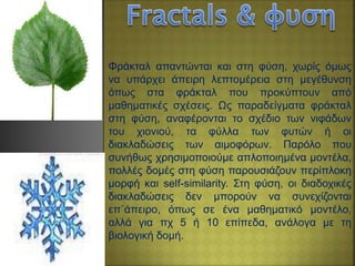 Φράκταλ απαντώνται και στη φύση, χωρίς όμως
να υπάρχει άπειρη λεπτομέρεια στη μεγέθυνση
όπως στα φράκταλ που προκύπτουν από
μαθηματικές σχέσεις. Ως παραδείγματα φράκταλ
στη φύση, αναφέρονται το σχέδιο των νιφάδων
του χιονιού, τα φύλλα των φυτών ή οι
διακλαδώσεις των αιμοφόρων. Παρόλο που
συνήθως χρησιμοποιούμε απλοποιημένα μοντέλα,
πολλές δομές στη φύση παρουσιάζουν περίπλοκη
μορφή και self-similarity. Στη φύση, οι διαδοχικές
διακλαδώσεις δεν μπορούν να συνεχίζονται
επ΄άπειρο, όπως σε ένα μαθηματικό μοντέλο,
αλλά για πχ 5 ή 10 επίπεδα, ανάλογα με τη
βιολογική δομή.
 