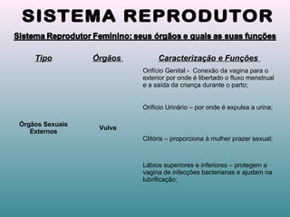 Tipo Órgãos Caracterização e Funções
Órgãos Sexuais
Externos
Vulva
Orifício Genital - Conexão da vagina para o
exterior por onde é libertado o fluxo menstrual
e a saída da criança durante o parto;
Orifício Urinário – por onde é expulsa a urina;
Clitóris – proporciona à mulher prazer sexual;
Lábios superiores e inferiores – protegem a
vagina de infecções bacterianas e ajudam na
lubrificação;
 