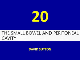 20
DAVID SUTTON
 