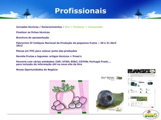 Profissionais
Jornadas técnicas / Esclarecimentos – Siro + Produtor + Consumidor
Finalizar as fichas técnicas
Brochura de apresentação
Patrocínio IV Colóquio Nacional da Produção de pequenos frutos – 20 e 21 Abril
2012
Placas em PVC para colocar junto das produções
Revista Frutas e legumes: artigos técnicos + Press’s
Parceria com várias entidades: CAP; UTAD; ESAC; COTHN; Portugal Fresh,…
para inclusão de informação útil no novo site da Siro
Novas Oportunidades de Negócio
 