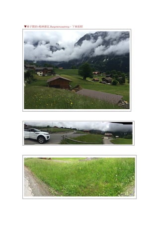 ▼車子開到~格林德瓦 Burgenerszaunweg，下車拍照
 