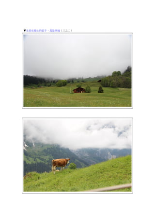 ▼生長在瑞士的乳牛，真是幸福（三之二）
 